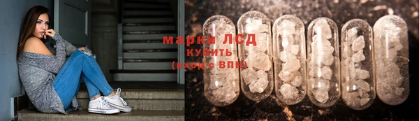 винт Каменка